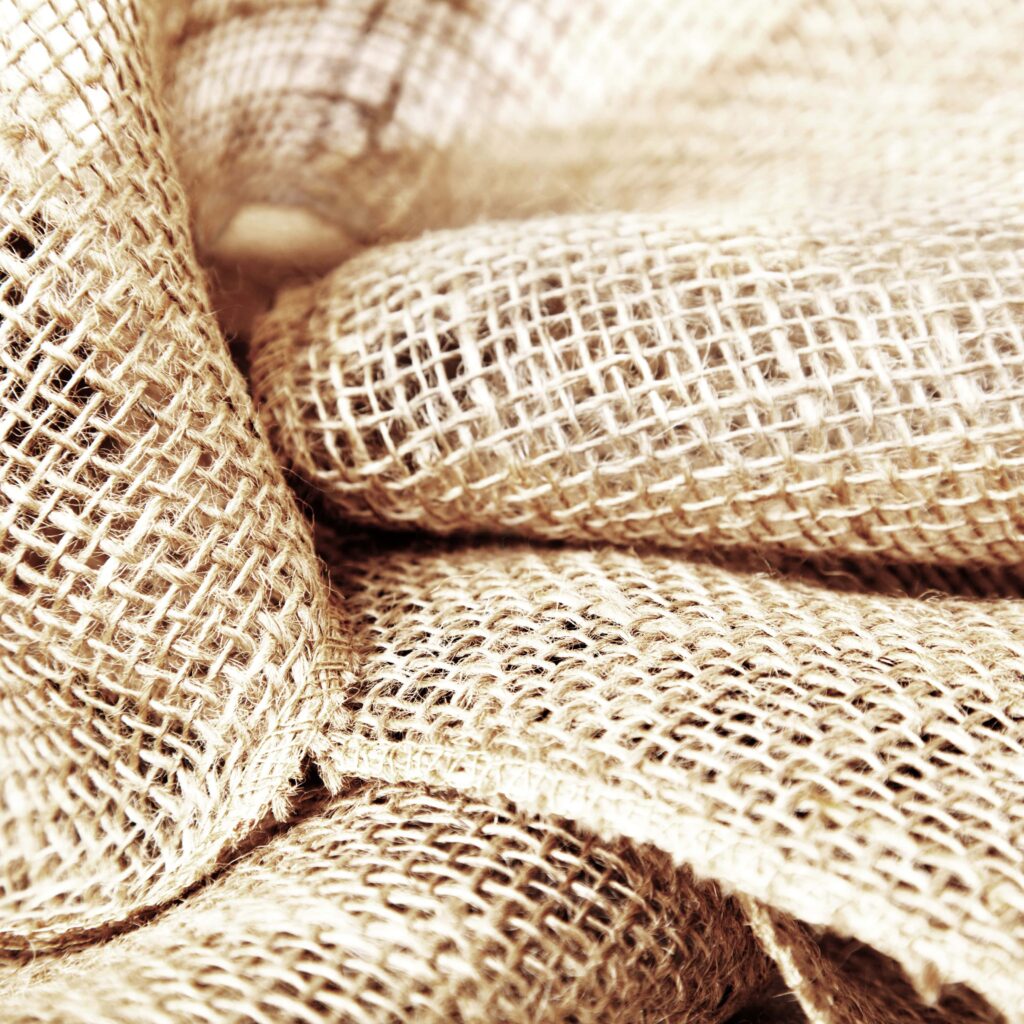 What is Jute? And Is It Sustainable?